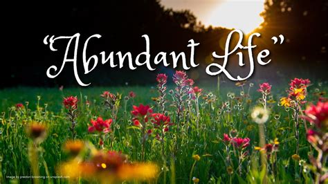 abundant life dreams|Abundant Life Dreams YouTube Channel Analytics Report